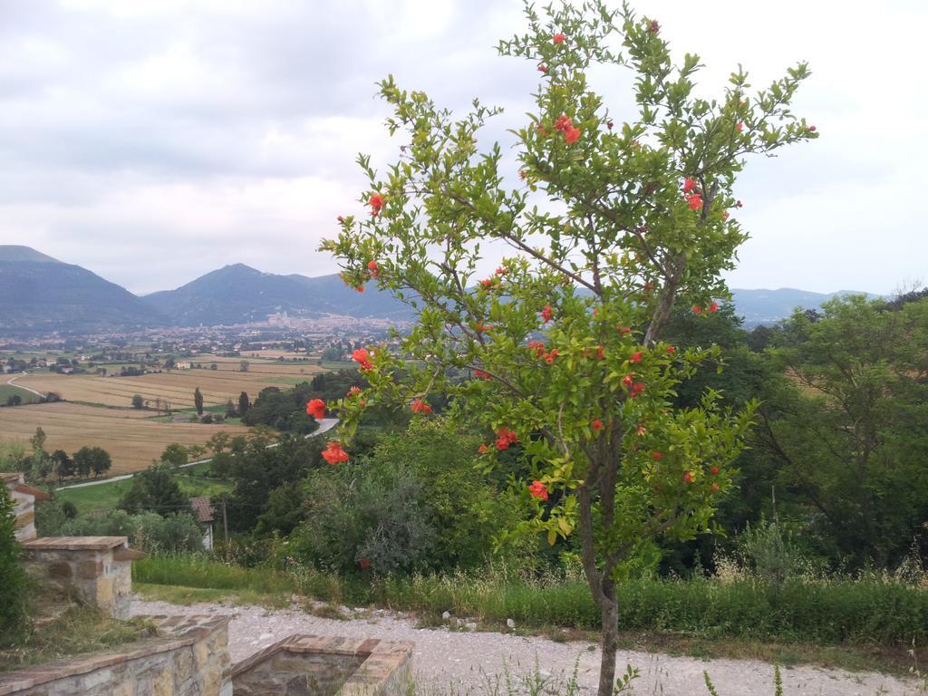 Fonte Chiara Villa Gubbio Cameră foto